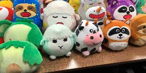 Different kinds of soft toys