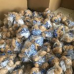 Packing and boxing plush toys